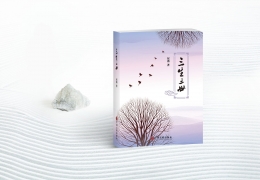 《三生三世》設(shè)計